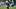 Malachi Fields, WR, New York Giants Malachi Fields, WR, New York Giants