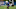 New York Giants wide receiver Malachi Fields New York Giants wide receiver Malachi Fields