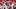 USC Trojans Maryland Terrapins College Football Big Ten Lincoln Riley coach Malik Washington quarterback Mike Locksley USC Trojans Maryland Terrapins College Football Big Ten Lincoln Riley coach Malik Washington quarterback Mike Locksley