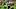 Bijan Robinson, Atlanta Falcons, 2026 Fantasy Football Bijan Robinson, Atlanta Falcons, 2026 Fantasy Football