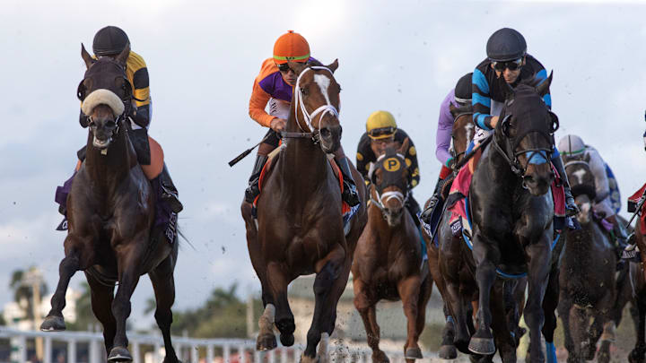 Gulfstream Horse Racing