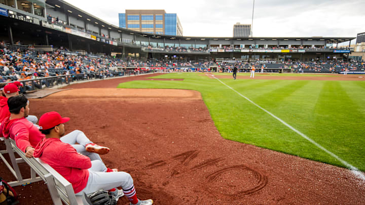 Springfield Cardinals v Amarillo Sod Poodles