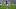 DeVonta Smith DeVonta Smith