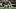 Vanderbilt football Vanderbilt football