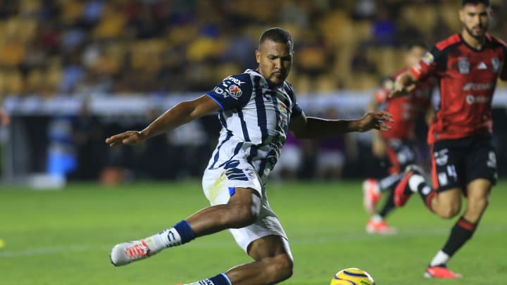 Tigres UANL v Pachuca - Torneo Clausura 2024 Liga MX