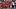 Houston Cougars quarterback Conner Weigman Houston Cougars quarterback Conner Weigman