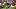 Rhamondre Stevenson, New England Patriots Rhamondre Stevenson, New England Patriots