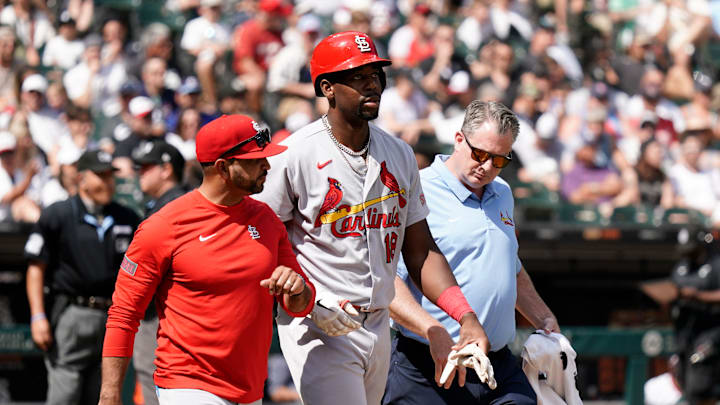 St. Louis Cardinals v Chicago White Sox