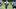 Dallas Cowboys tight end Michael Trigg