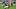 illinois fighting illini football big ten football quarterback katin houser runs with ball michigan state spartans illinois fighting illini football big ten football quarterback katin houser runs with ball michigan state spartans