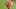 Jul 29, 2026; St. Joseph, MO, USA; Kansas City Chiefs running back Emari Demercado (25) runs the ball during training camp at Jul 29, 2026; St. Joseph, MO, USA; Kansas City Chiefs running back Emari Demercado (25) runs the ball during training camp at