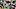 Dakota Prukop, Oregon, CFL Dakota Prukop, Oregon, CFL