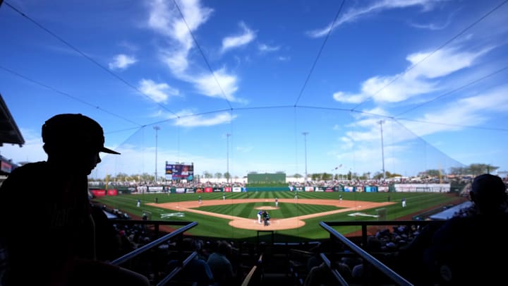 Fans watch from the stands as the Arizona Diamondbacks play against the Texas Rangers at Surprise Stadium on Sunday, March 2, 2025.
