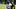 Pittsburgh Steelers quarterback Mason Rudolph Pittsburgh Steelers quarterback Mason Rudolph