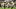 Sep 10, 2026; Miami Gardens, Florida, USA; Miami Hurricanes wide receiver Joshua Moore (3) runs for a touchdown in the first Sep 10, 2026; Miami Gardens, Florida, USA; Miami Hurricanes wide receiver Joshua Moore (3) runs for a touchdown in the first