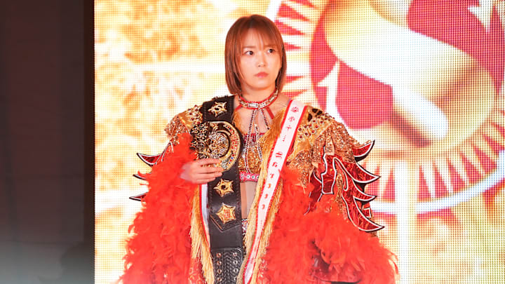 Women's Pro-Wrestling "Stardom"