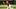 Arizona Diamondbacks closer Paul Sewald
