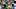 Oregon Ducks quarterback Dylan Raiola transfer portal spring game big ten football autzen stadium eugene Oregon Ducks quarterback Dylan Raiola transfer portal spring game big ten football autzen stadium eugene