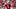 Wisconsin Badgers quarterback Colton Joseph. Wisconsin Badgers quarterback Colton Joseph.