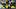 Michigan Wolverines cornerback Smith Snowden (3), defensive end Dominic Nichols (8), linebacker Troy Bowles Michigan Wolverines cornerback Smith Snowden (3), defensive end Dominic Nichols (8), linebacker Troy Bowles