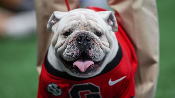 Aug 31, 2024; Atlanta, Georgia, USA; Georgia Bulldogs mascot Uga XI on the field against the Clemson Tigers in the first quarter at Mercedes-Benz Stadium. Mandatory Credit: Brett Davis-Imagn Images
