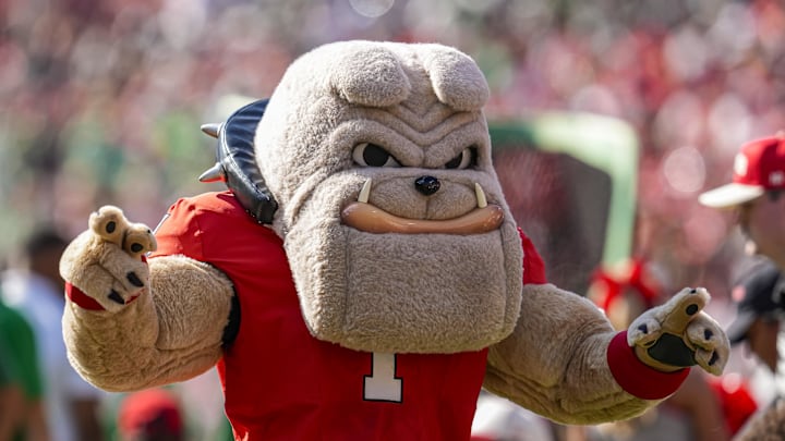 Georgia's Hairy Dawg is a costumed mascot favorite... but not among On3's panel of top mascot pickers.