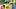 Pittsburgh Steelers linebacker Payton Wilson Pittsburgh Steelers linebacker Payton Wilson