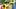 Pittsburgh Steelers linebacker Payton Wilson Pittsburgh Steelers linebacker Payton Wilson