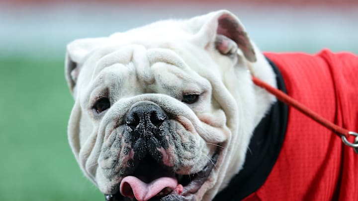 2023 SEC Championship - Georgia v Alabama