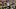 Cincinnati Bengals tight end Mike Gesicki Cincinnati Bengals tight end Mike Gesicki