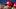 St. Louis Cardinal St. Louis Cardinal