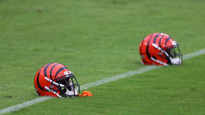 Cincinnati Bengals v Baltimore Ravens