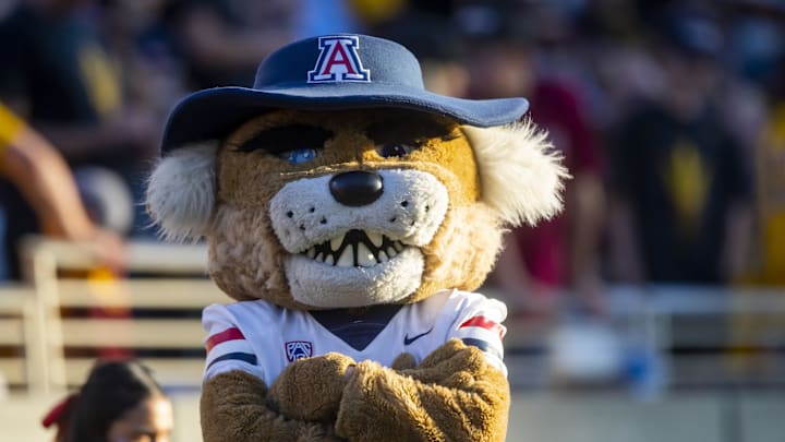 Nov 27, 2021; Tempe, Arizona, USA; Arizona Wildcats mascot Wilbur during the Territorial Cup at Sun Devil Stadium. Mandatory Credit: Mark J. Rebilas-Imagn Images