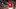 Cincinnati Reds pitcher Brock Burke screams after recording an out to end a game