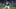 Red Sox Red Sox
