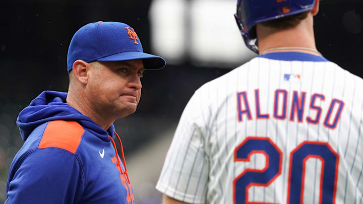 May 28, 2025; New York, New York, USA; New York Mets manager Carlos Mendoza visits the field after New York Mets first baseman Pete Alonso (20) was hit by a pitch during the game against the Chicago White Sox at Citi Field. Mandatory Credit: Lucas Boland-Imagn Images