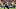 nfl nfl