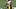 Iowa defensive back Zach Lutmer
