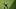 Harrison Didawick Virginia Basebal Harrison Didawick Virginia Basebal
