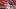 St. Louis Cardinals reliever Ryne Stanek St. Louis Cardinals reliever Ryne Stanek