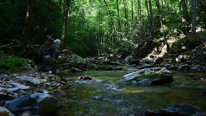 Even in close quarters, the ability to cast far will serve you well. Even in close quarters, the ability to cast far will serve you well.