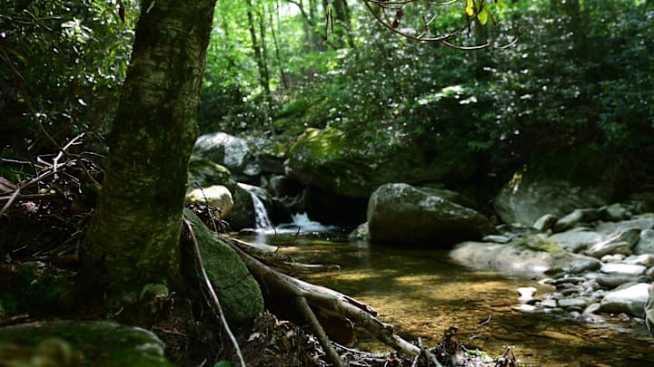 Small streams make for tough casting. 