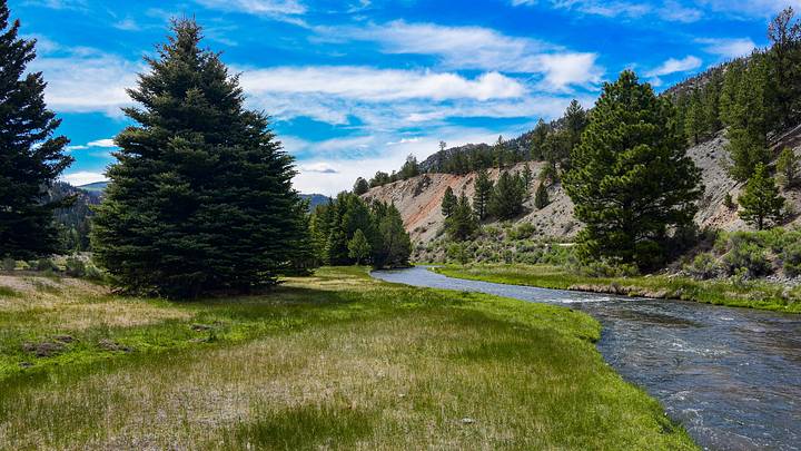 Trout fishing in New Mexico's Sangre de Cristo Mountains.