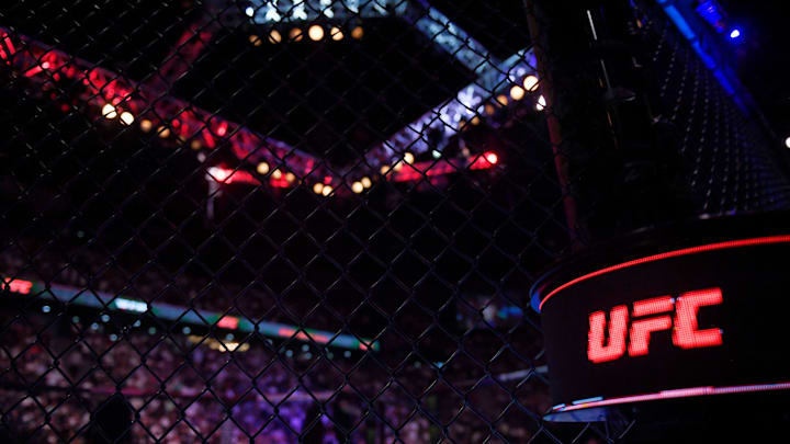 MMA-UFC-FRA-ZIAM-FIGLAK
