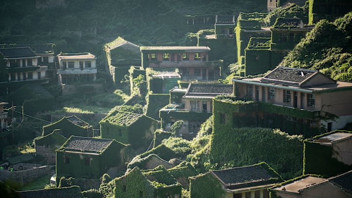 Moss-covered buildings in China's Houtouwan Village