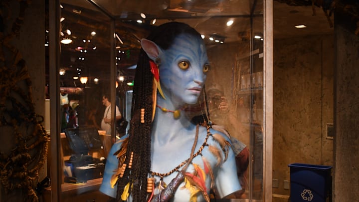 Na'Avi bust in the guest shop of Flight of Passage. Photo Credit: Brian Miller