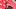 Travis Kelce Travis Kelce