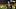 Paul Finebaum Calls for Firing of $72 Million ‘Fraud’ Head Coach After Week 4 Loss Paul Finebaum Calls for Firing of $72 Million ‘Fraud’ Head Coach After Week 4 Loss