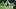 Dallas Cowboys cornerback Caleb Downs 