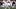 Texas Longhorns quarterback Arch Manning Texas Longhorns quarterback Arch Manning